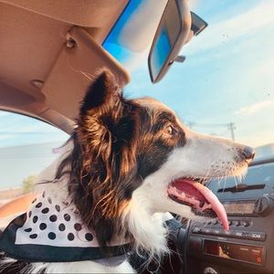 Meet your Posher, Marissa